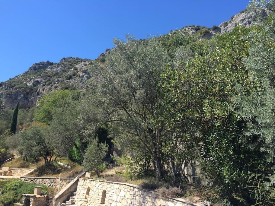 Appartement Sur La Colline Avec Acces Piscine Volx Exteriör bild