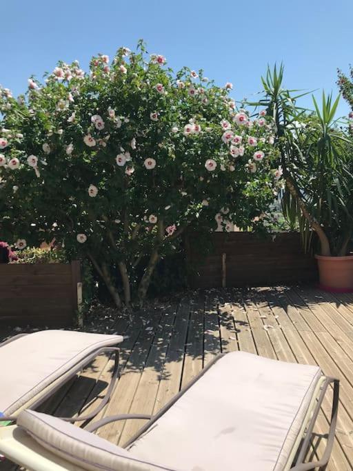 Appartement Sur La Colline Avec Acces Piscine Volx Exteriör bild